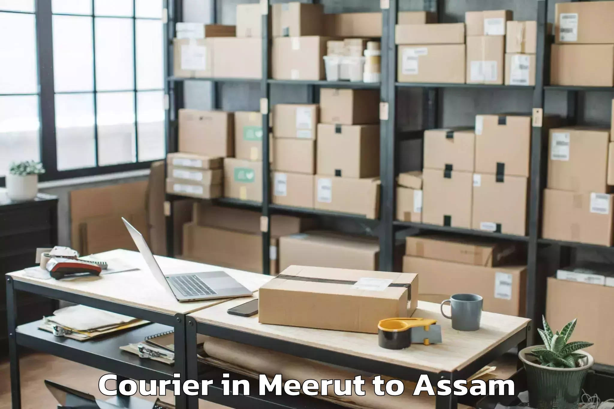 Get Meerut to Sonai Courier